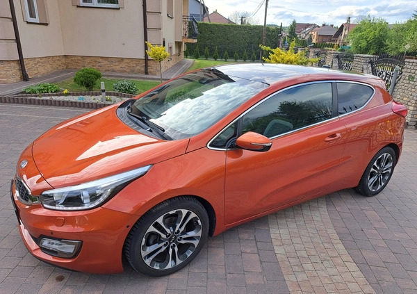 Kia Pro_cee'd cena 39600 przebieg: 117000, rok produkcji 2013 z Wolbrom małe 172